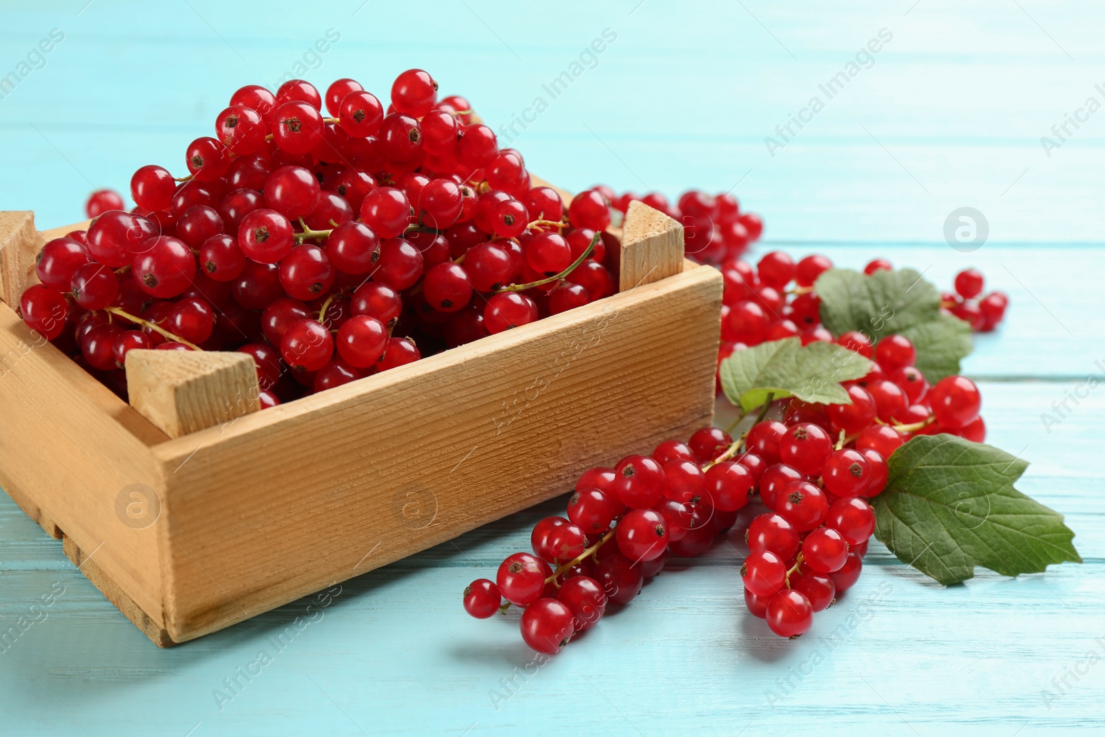 Photo of Delicious red currants and leaves on light blue wooden table