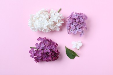 Photo of Flat lay composition with different lilac blossoms on pink background