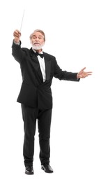 Photo of Professional conductor with baton on white background