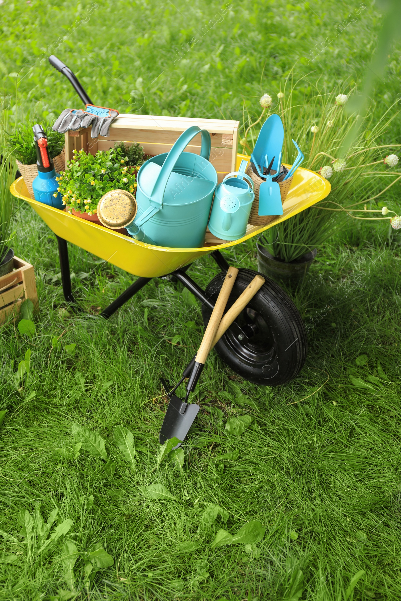 Photo of Composition with gardening tools on green grass