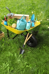 Composition with gardening tools on green grass