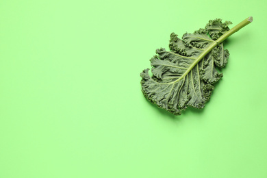 Photo of Fresh kale leaf on light green background, top view. Space for text