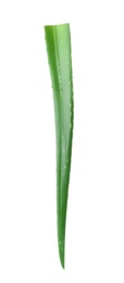 Photo of Aloe vera leaf on white background