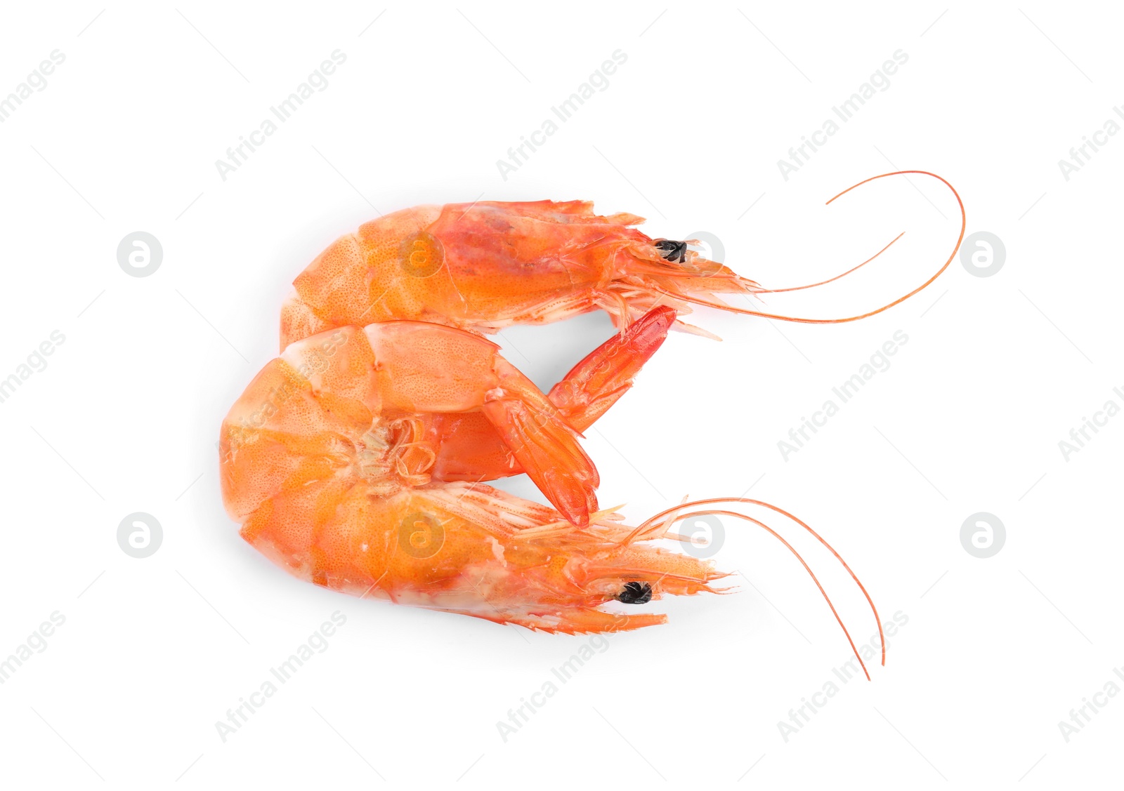 Photo of Delicious cooked shrimps isolated on white, top view