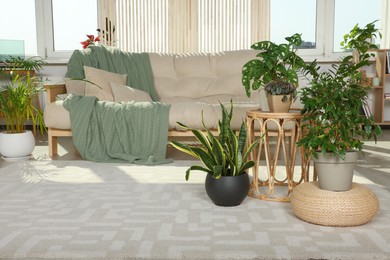 Photo of Stylish room interior with comfortable sofa and beautiful houseplants
