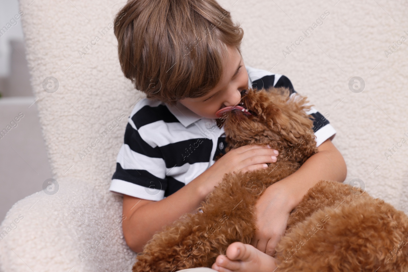 Photo of Little child with cute puppy in armchair indoors. Lovely pet