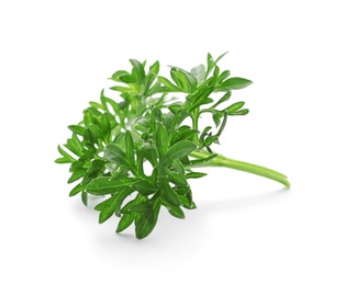 Photo of Fresh green parsley on white background