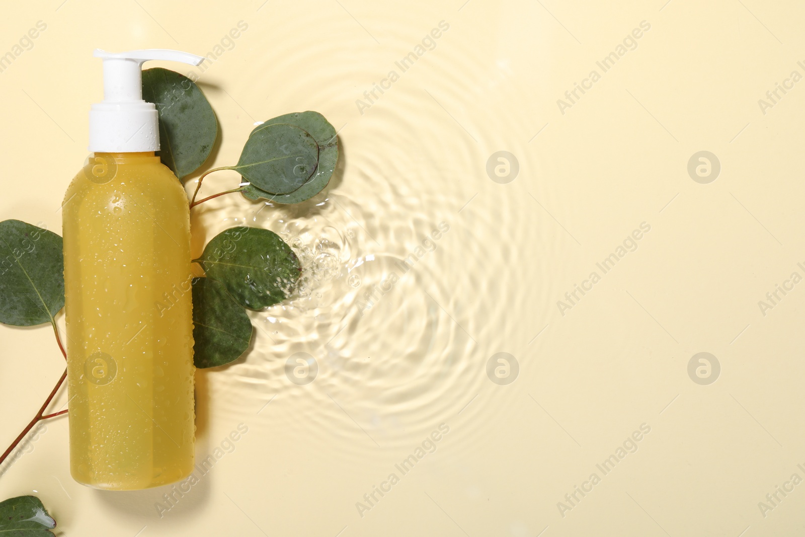 Photo of Bottle of face cleansing product and fresh leaves in water against beige background, flat lay. Space for text