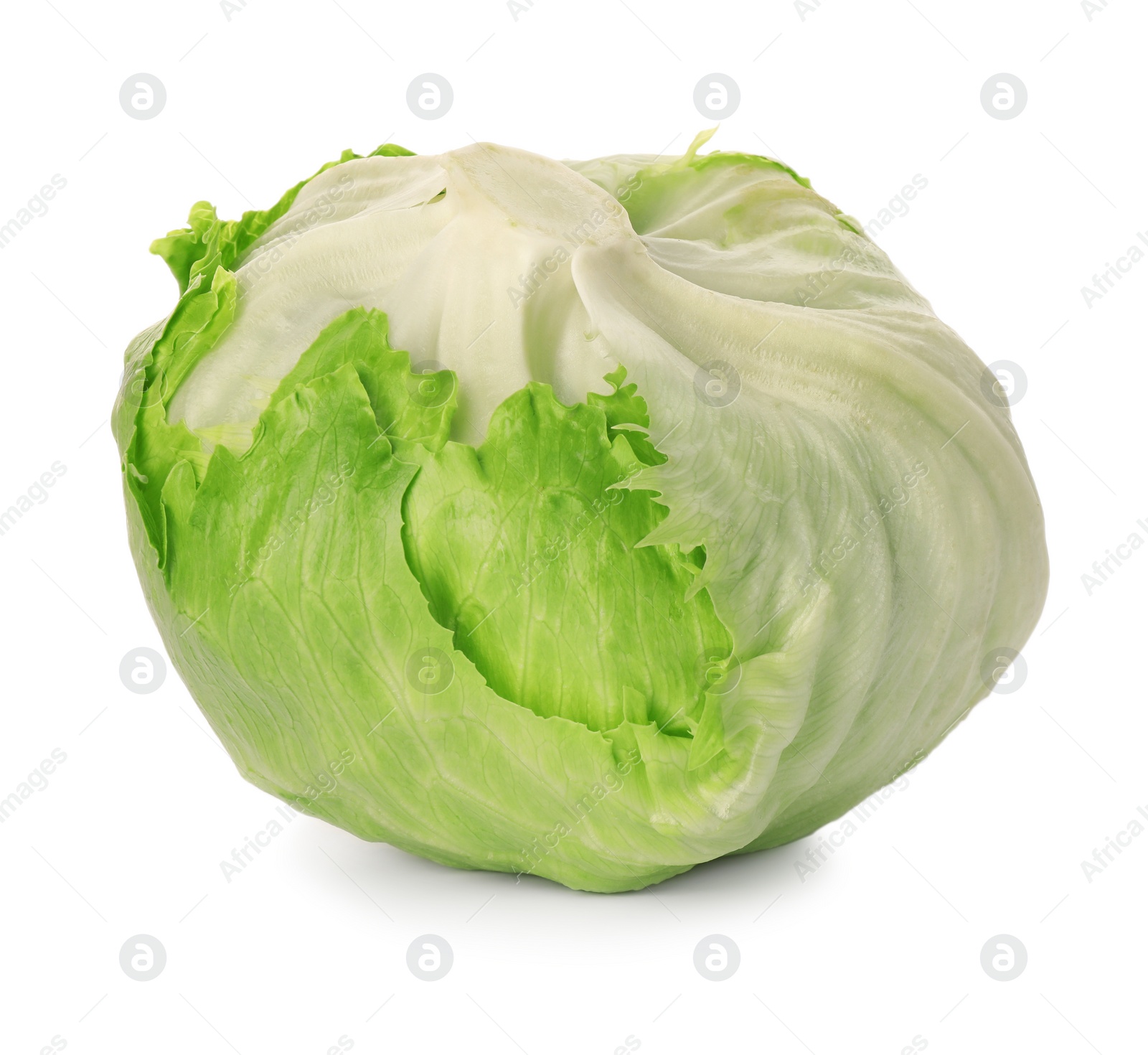 Photo of Fresh green iceberg lettuce isolated on white