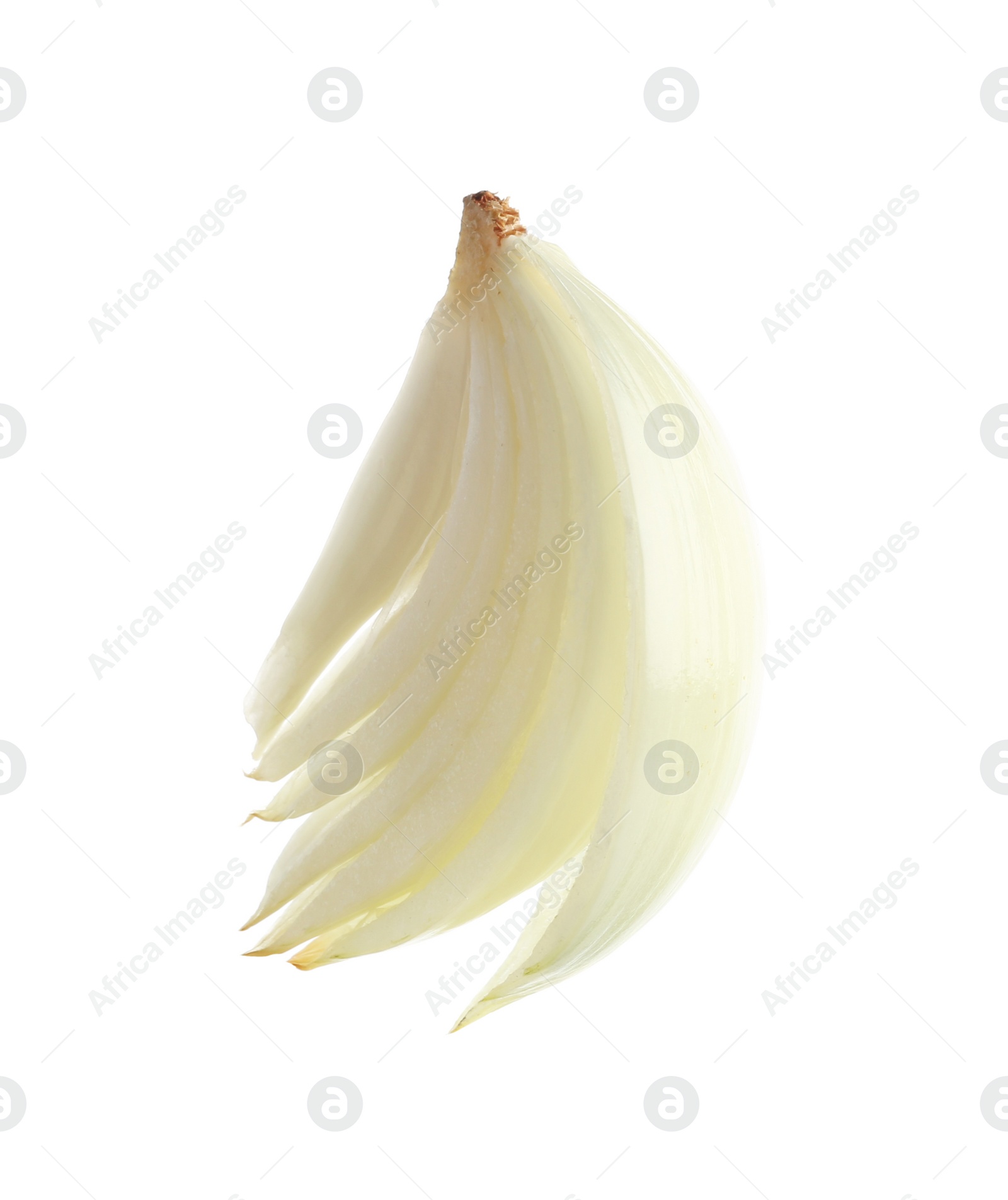 Photo of Slice of fresh ripe onion on white background