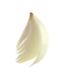 Photo of Slice of fresh ripe onion on white background