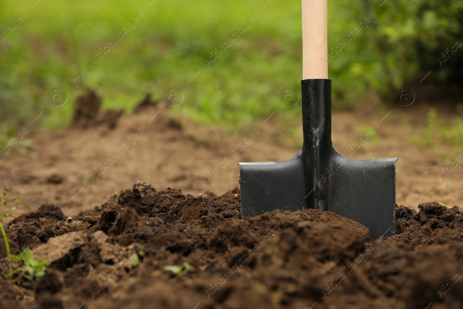 Photo of Shovel in soil outdoors, space for text. Gardening tool