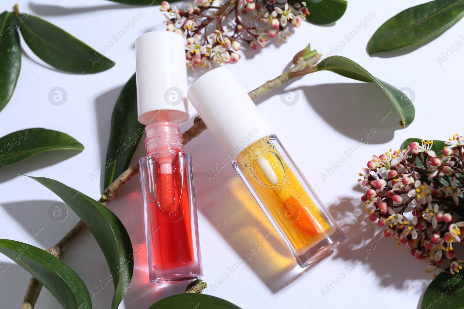 Photo of Bright lip glosses, branch, green leaves and flowers on white background, above view