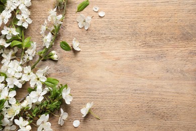 Photo of Cherry tree branches with beautiful blossoms on wooden table, flat lay. Space for text