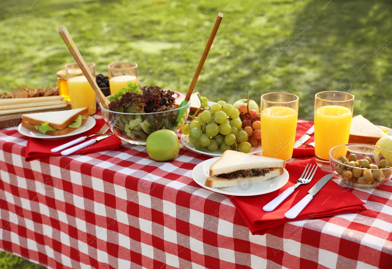 Photo of Picnic table with different snacks and drink in park