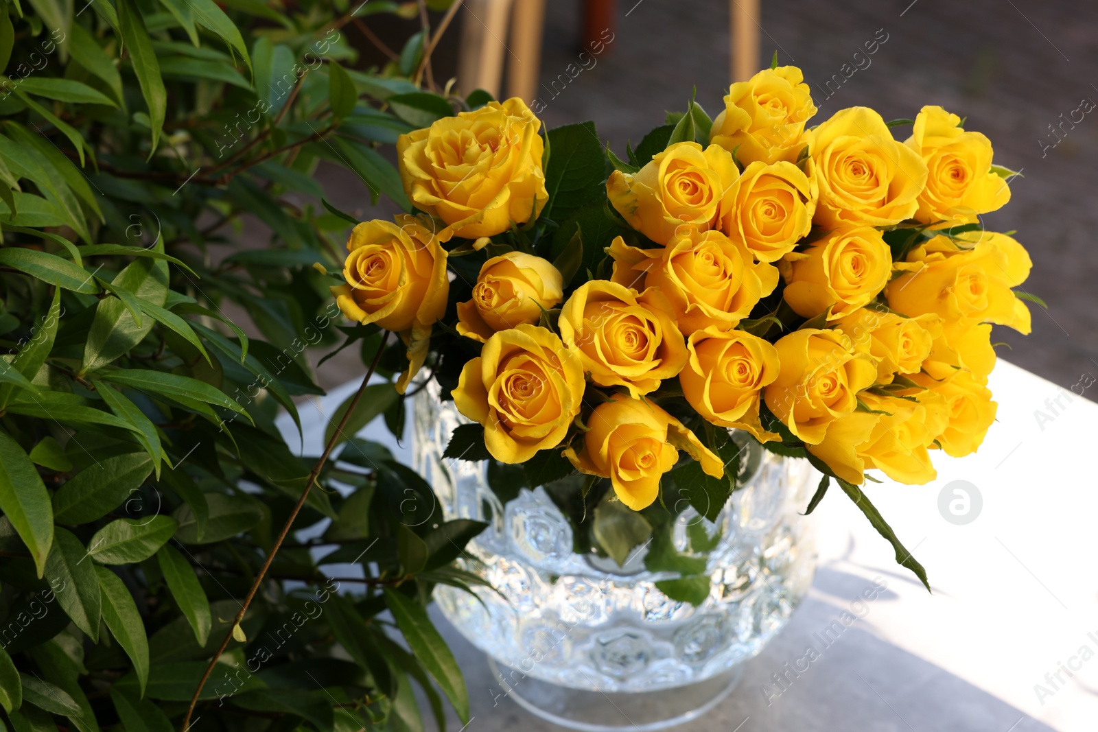 Photo of Beautiful bouquet of yellow roses in glass vase on white table outdoors