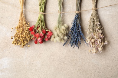 Photo of Bunches of beautiful dried flowers hanging on rope near light grey wall. Space for text