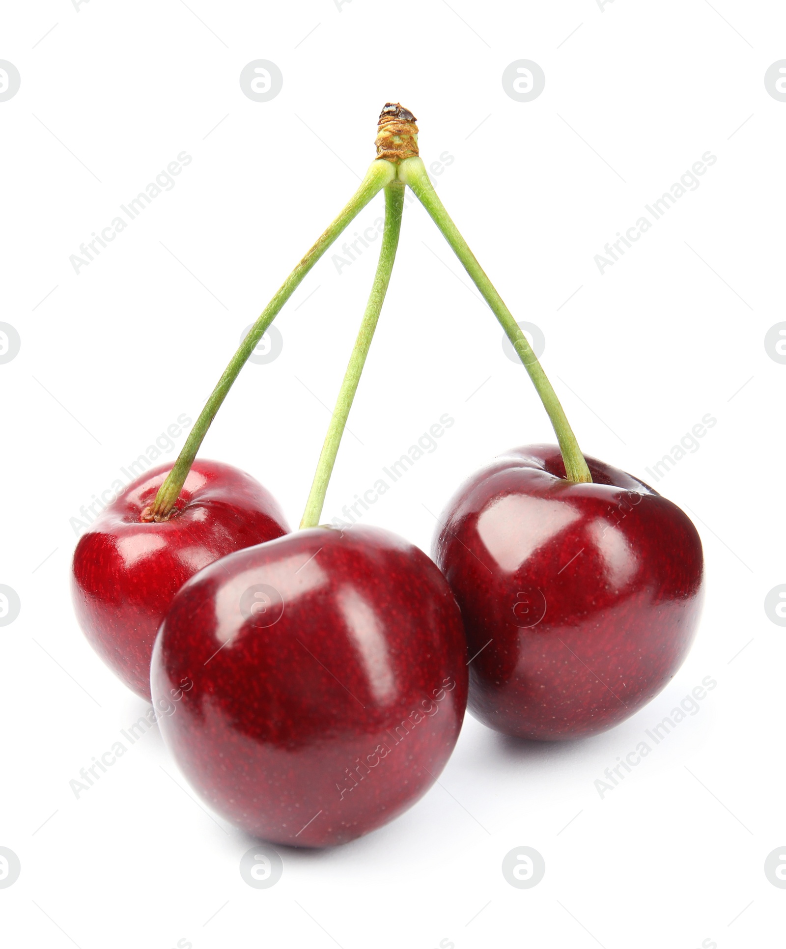 Photo of Delicious ripe sweet cherries on white background