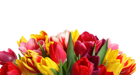 Photo of Beautiful bright spring tulips on white background