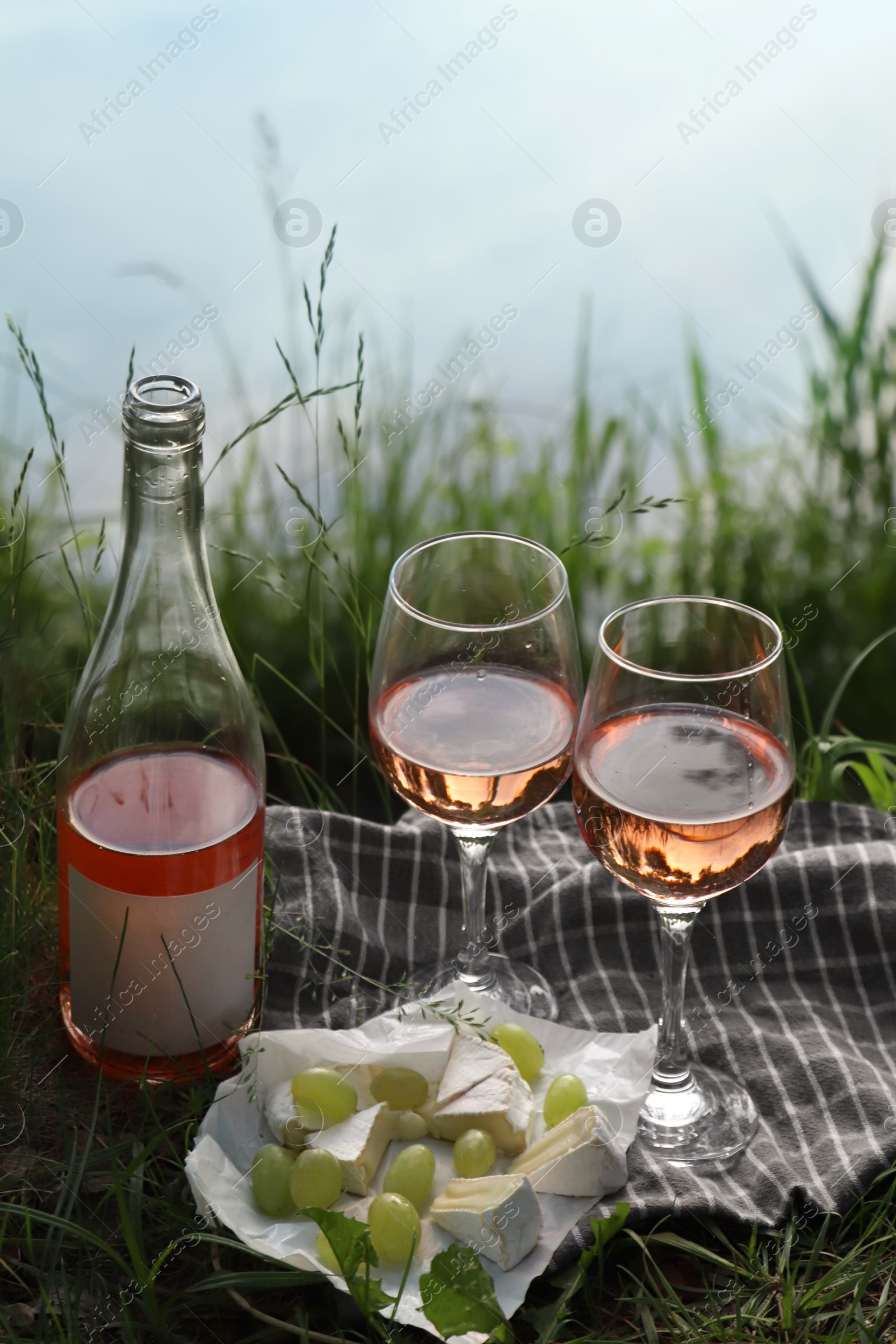 Photo of Delicious rose wine, cheese and grapes on picnic blanket near lake