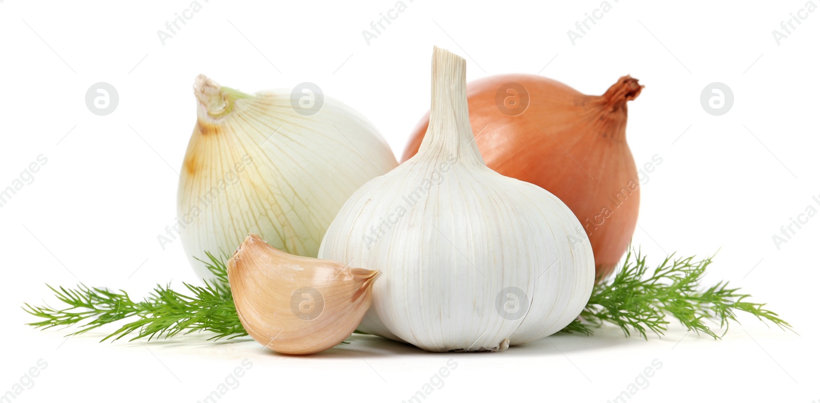 Photo of Garlic, onions and dill on white background