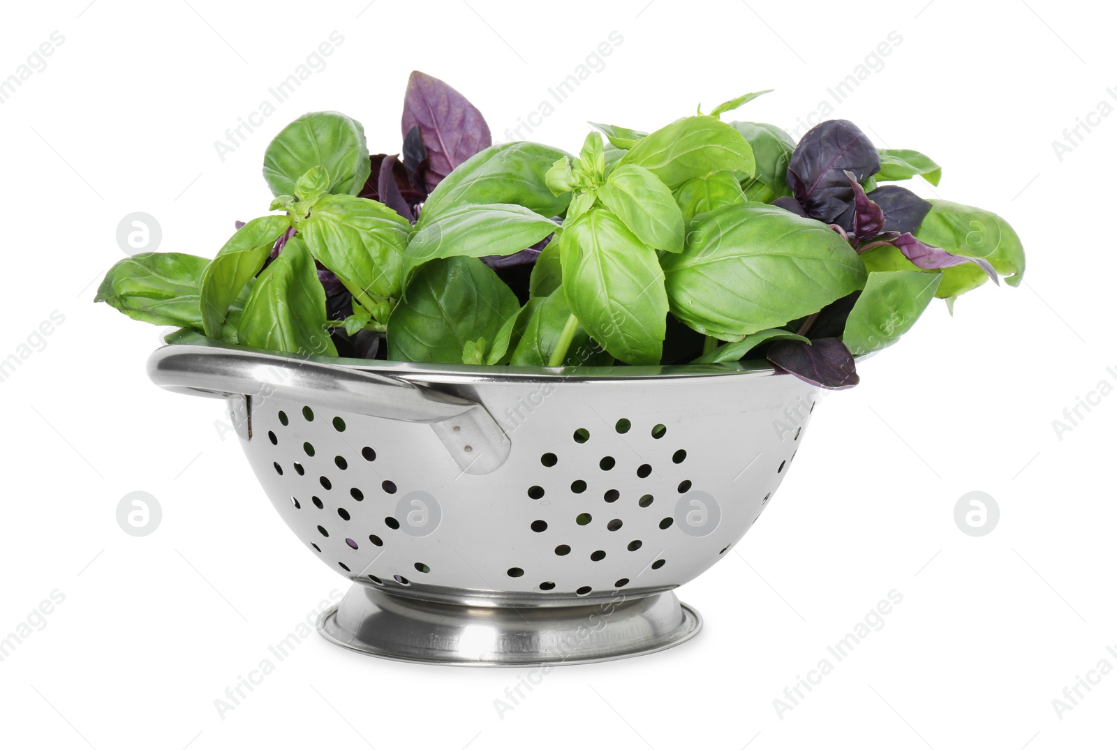 Photo of Metal colander with fresh basil leaves isolated on white