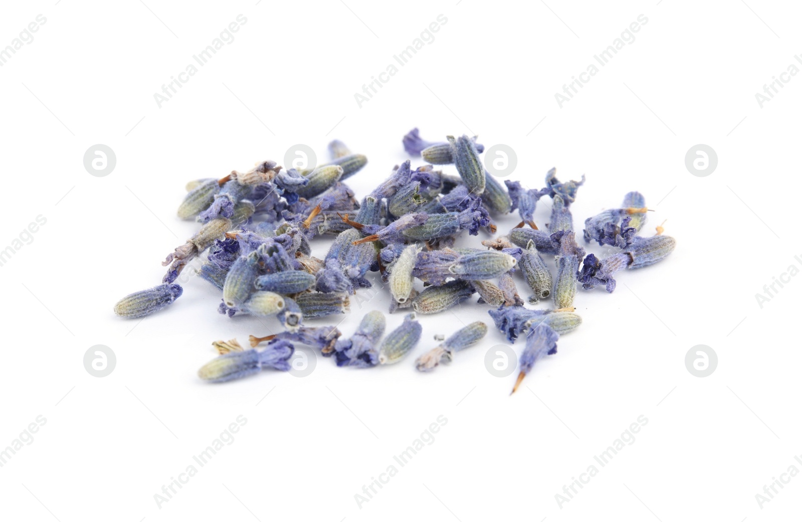 Image of Heap of beautiful lavender flowers on white background