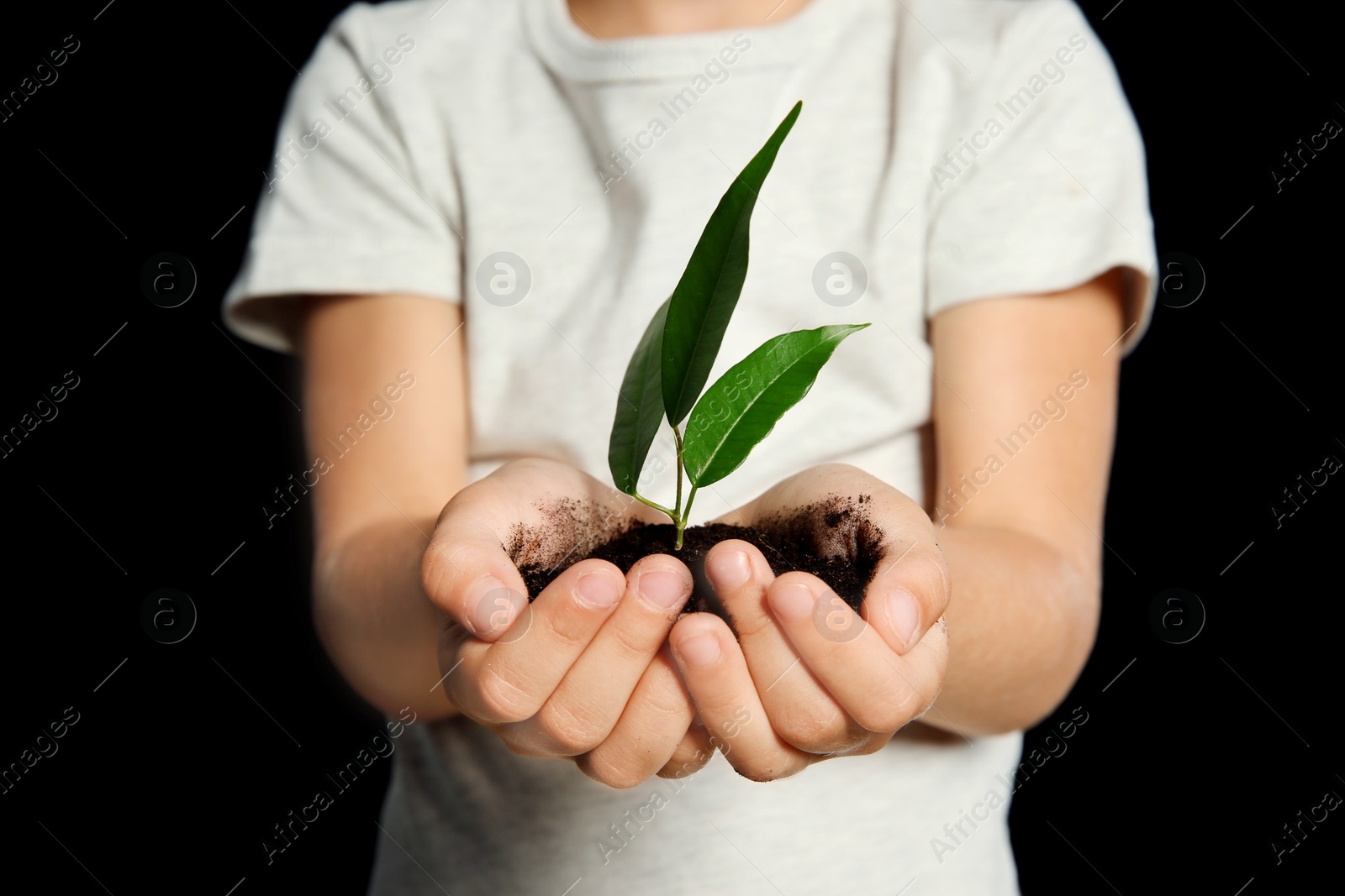 Photo of Child holding soil with green plant in hands on black background