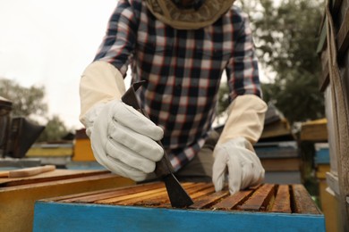 Beekeeper taking frame from hive at apiary, closeup. Harvesting honey