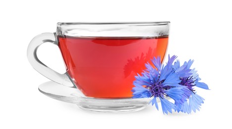 Photo of Cornflower tea and fresh flowers on white background