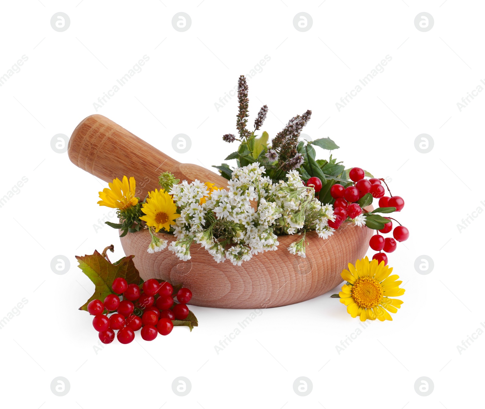 Photo of Wooden mortar, pestle, different flowers and berries on white background