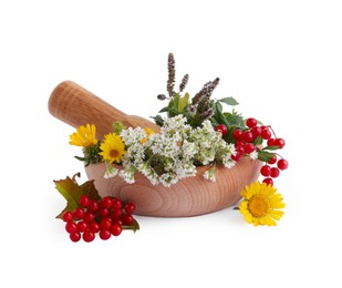 Photo of Wooden mortar, pestle, different flowers and berries on white background