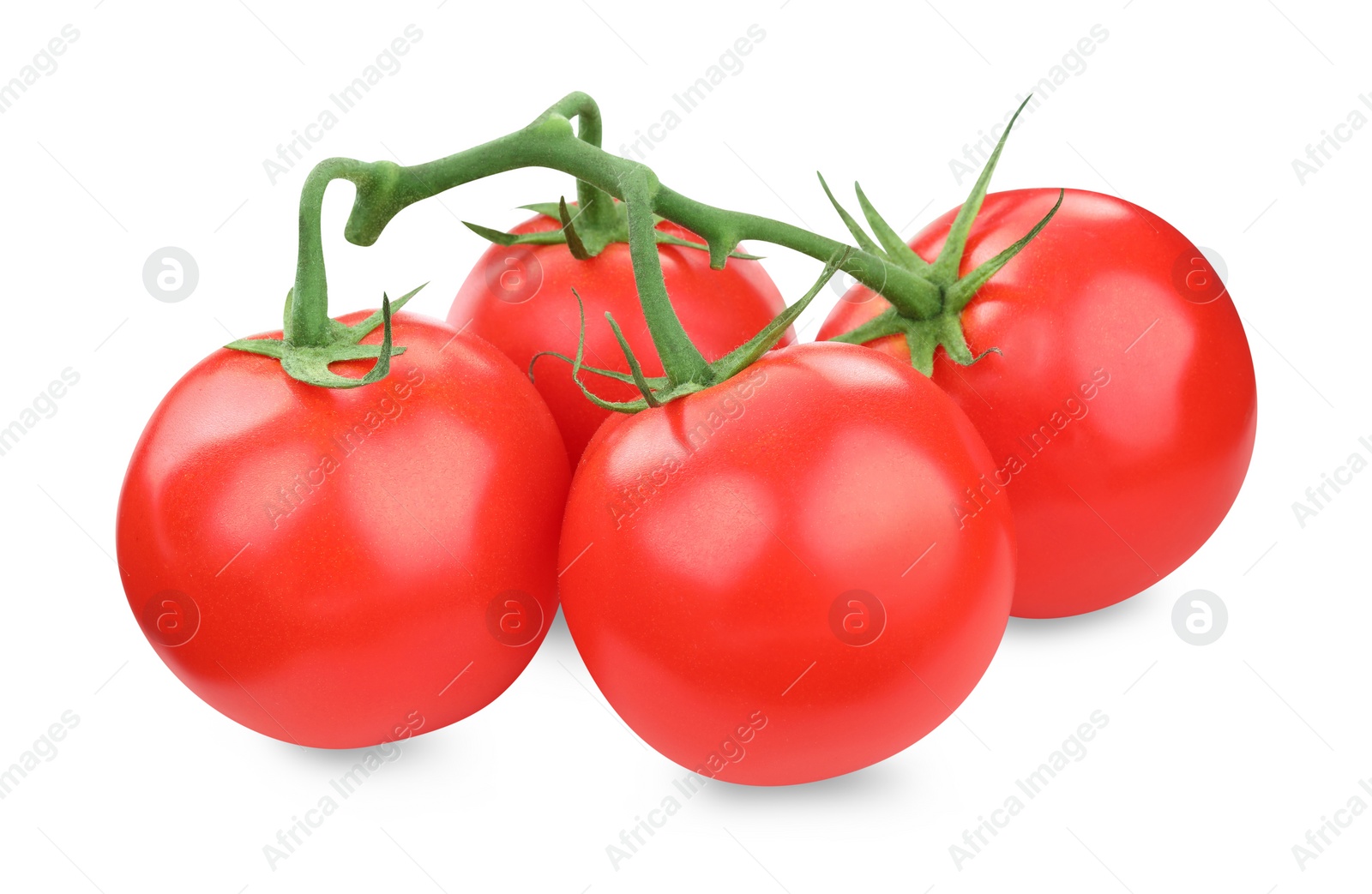 Photo of Branch of red ripe tomatoes isolated on white