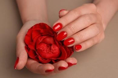 Woman with red polish on nails touching flower on beige background, closeup