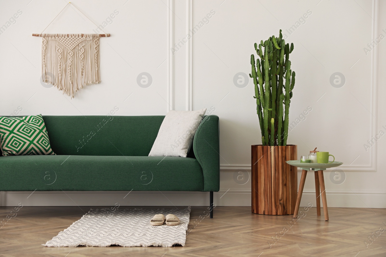 Photo of Stylish living room interior with beautiful potted cactus and modern furniture