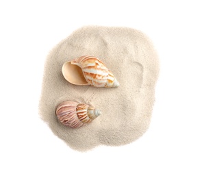 Pile of beach sand with sea shells isolated on white, top view