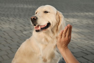 Photo of Woman and her Golden Retriever dog outdoors, closeup