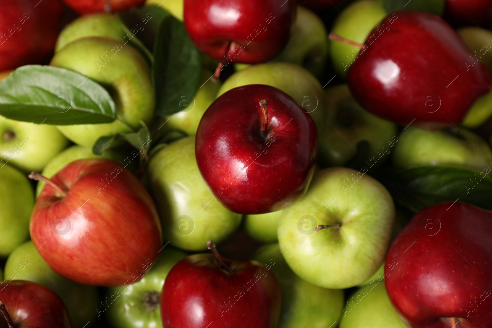 Photo of Fresh ripe red and green apples as background, top view