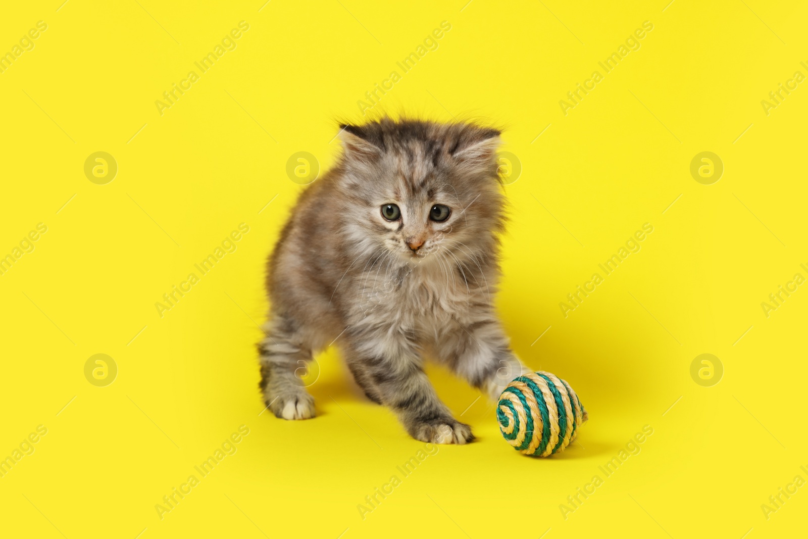 Photo of Cute kitten playing with ball on yellow background