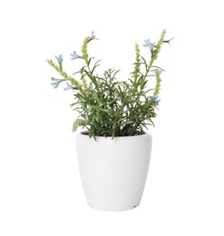 Photo of Artificial potted blue lavender flowers on white background. Home decor