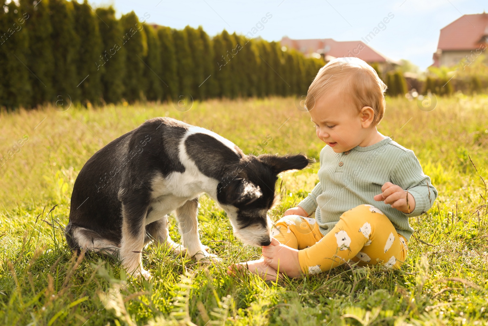 Photo of Adorable baby and furry little dog on green grass outdoors