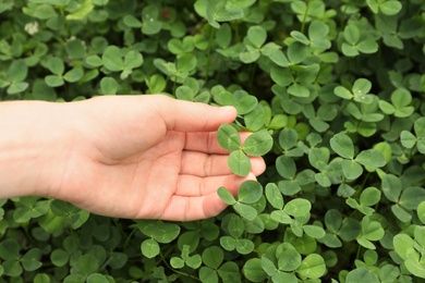 Woman holding four-leaf clover outdoors, closeup