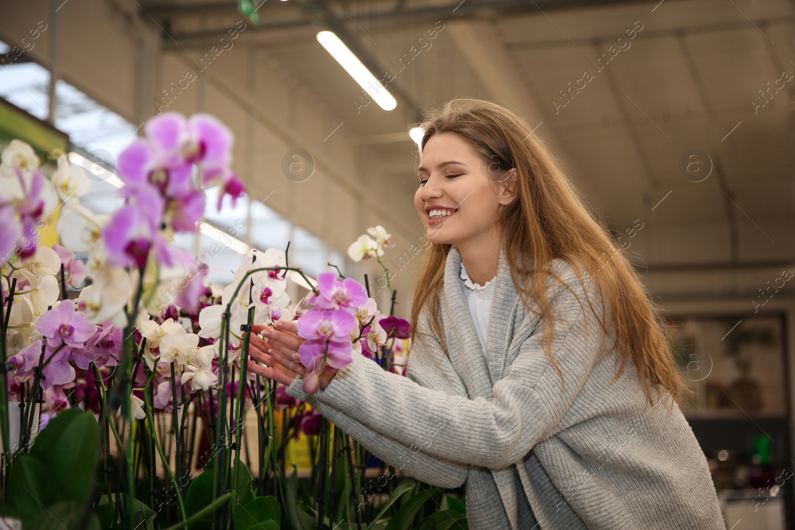 Photo of Beautiful young woman with orchids in flower shop