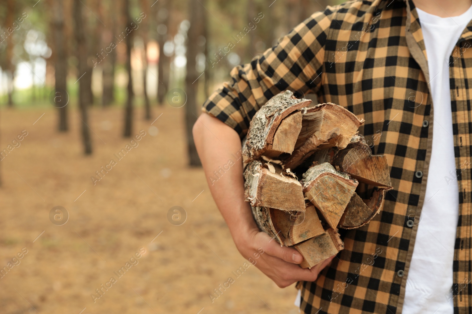 Photo of Man holding cut firewood in forest, closeup