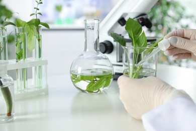 Lab assistant dropping liquid on microscope slide at table, closeup. Plant chemistry