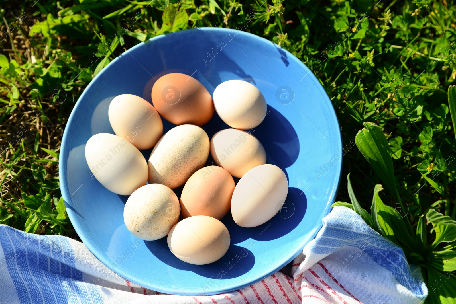 Photo of Plate of assorted eggs and napkin on green grass outdoors, above view