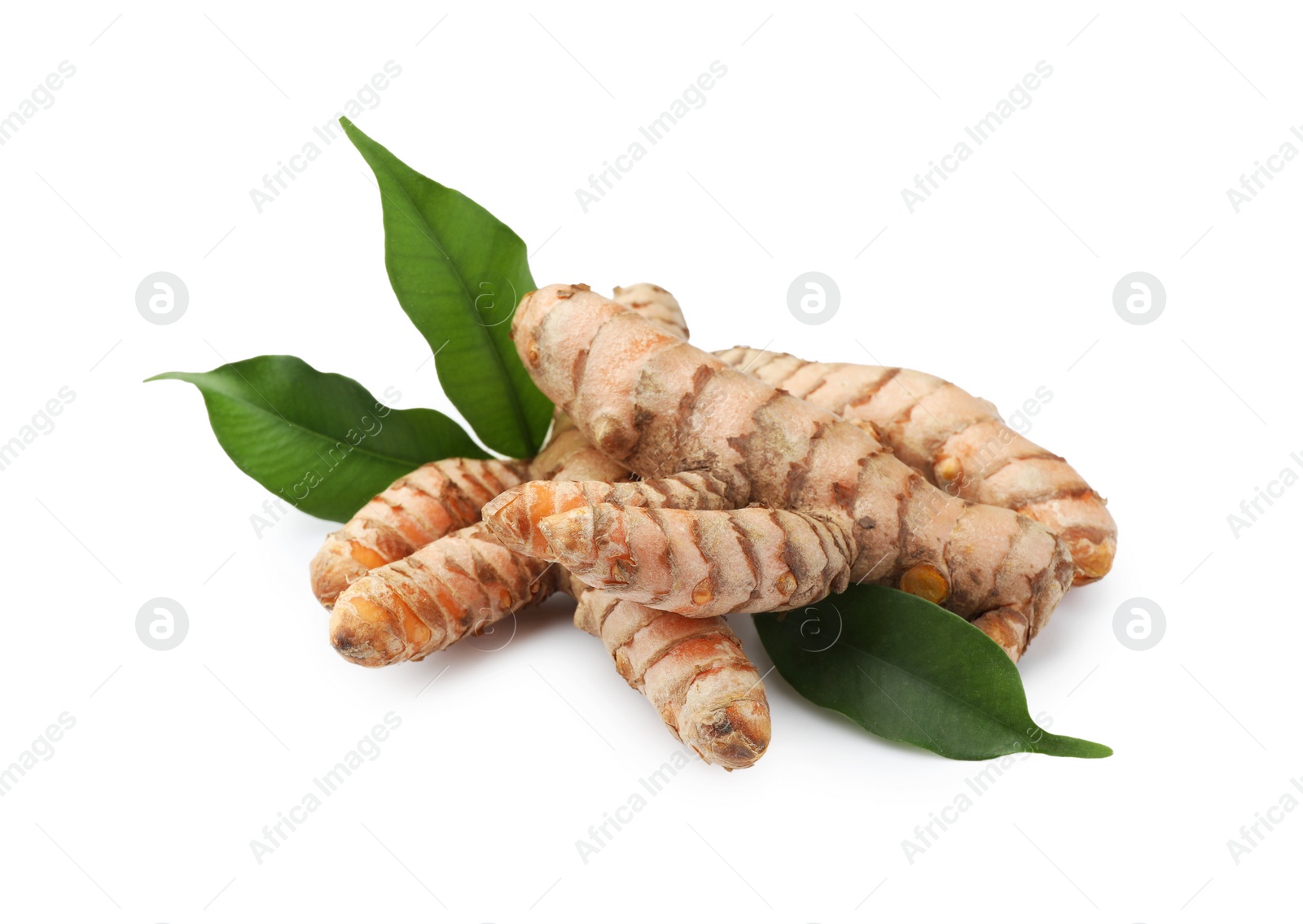 Photo of Fresh turmeric roots and green leaves isolated on white