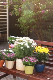 Photo of Many different beautiful blooming plants in flowerpots on wooden bench outdoors