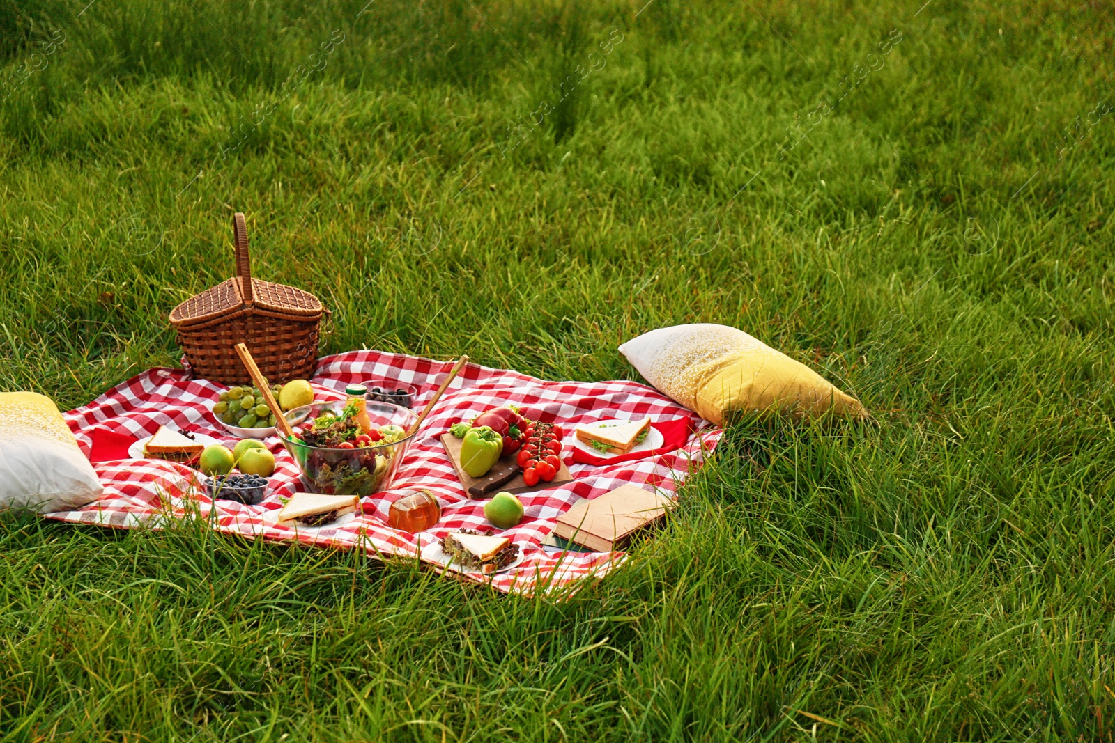 Photo of Picnic blanket with delicious snacks on grass in park