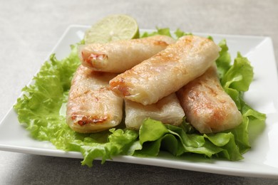 Photo of Delicious fried spring rolls on grey table, closeup